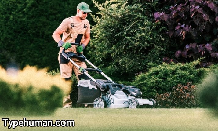 lawn maintenance