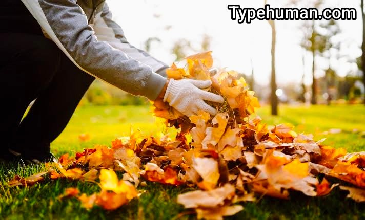 spring & fall cleanup