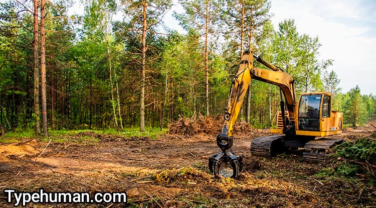 land clearing