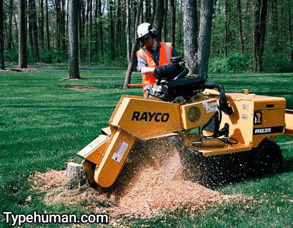 stump grinding