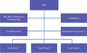 Structuring Sovereign Wealth