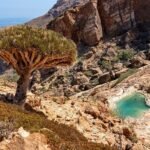 Socotra travel cost