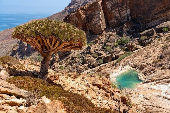 Socotra travel cost