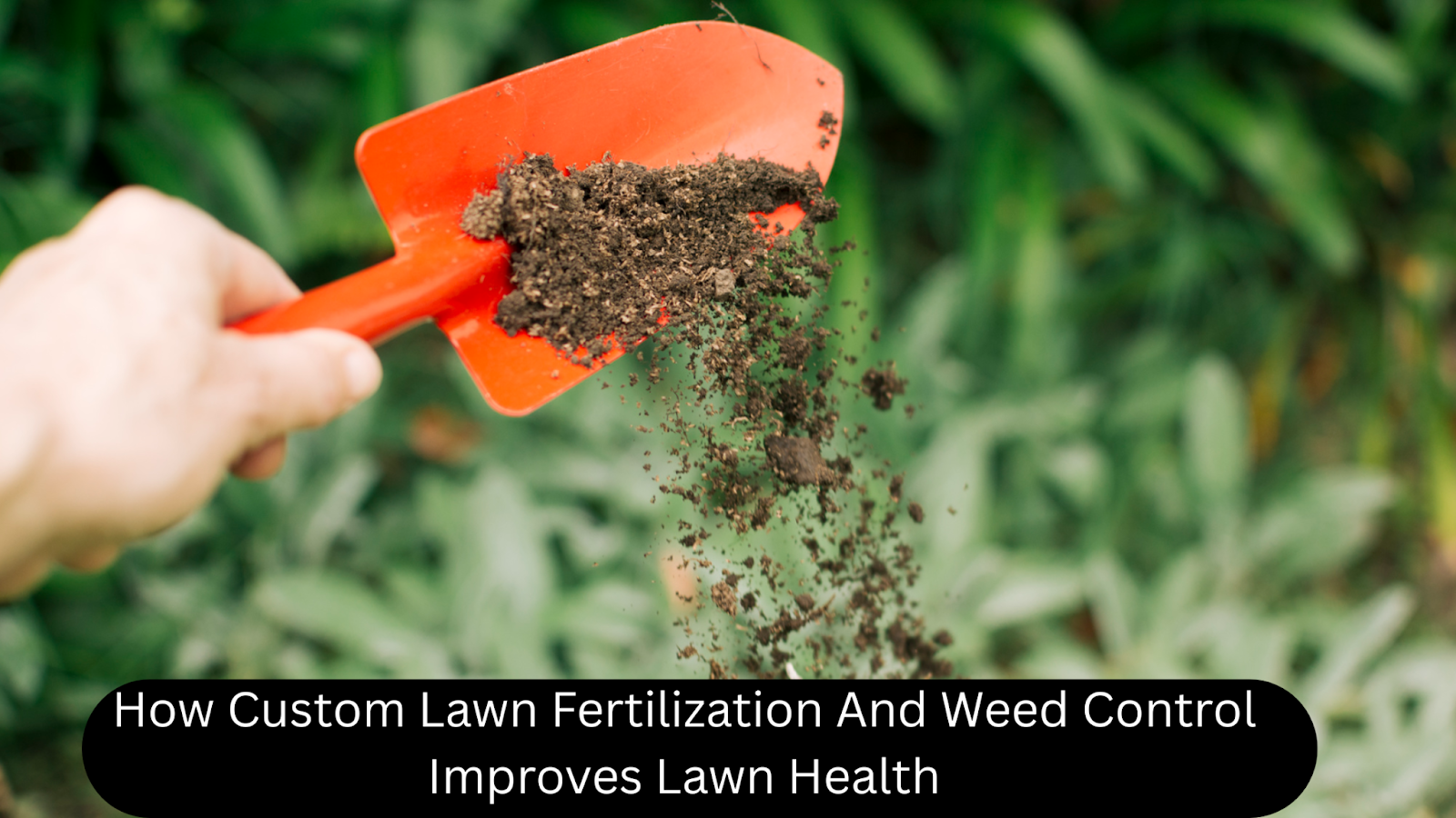 custom lawn fertilization and weed control